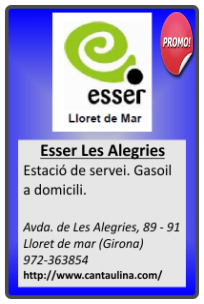Estació de Servei. Gasoil a domicili