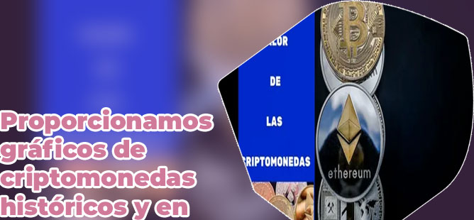 Donde invertir hoy en criptomonedas