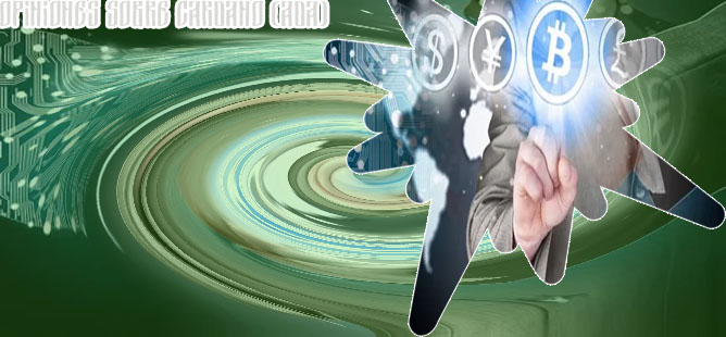 Opinion sobre criptomonedas