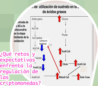Regulación de criptomonedas